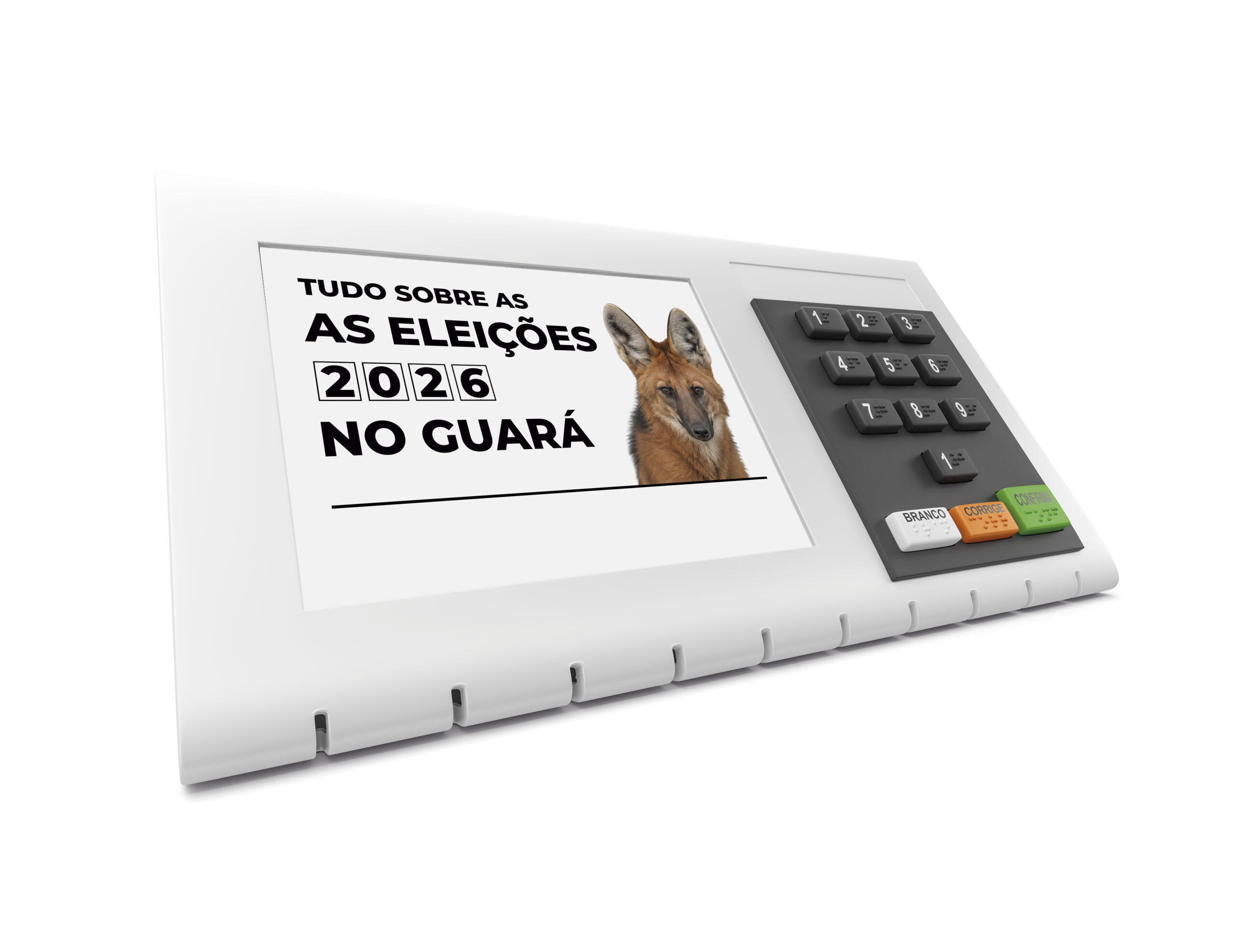 GUARÁ NAS ELEIÇÕES - Santo de casa não faz milagre - Jornal do Guará